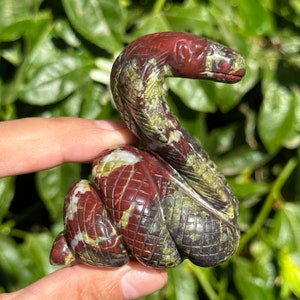 Dragon Blood Stone HQ Snake Crystal Carving Gemstone King Cobra Year of the Snake