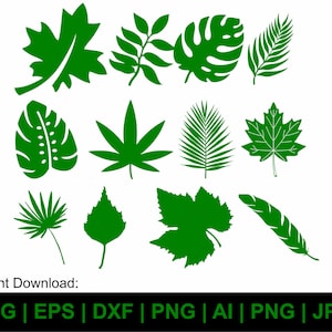 Tropical Leaves Svg, Monstera Leaf Svg, Palm Banana Fern Jungle Leaf Svg, Tropical Leaves Clipart, Svg, Pngcut Files For Cricut Silhouette