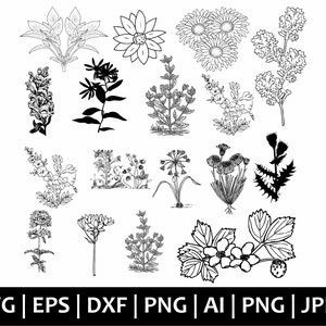 Wildflowers Svg, Bouquet Svg Bundle, Minimalist Bouquet Svg, Botanical Svg, Doodle Flower Svg, Flower Svg, Floral Png, Svg Cut Files Cricut