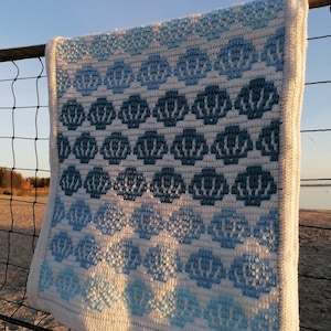 Adorable Ombre Shell Baby Blanket – Handmade Crochet
