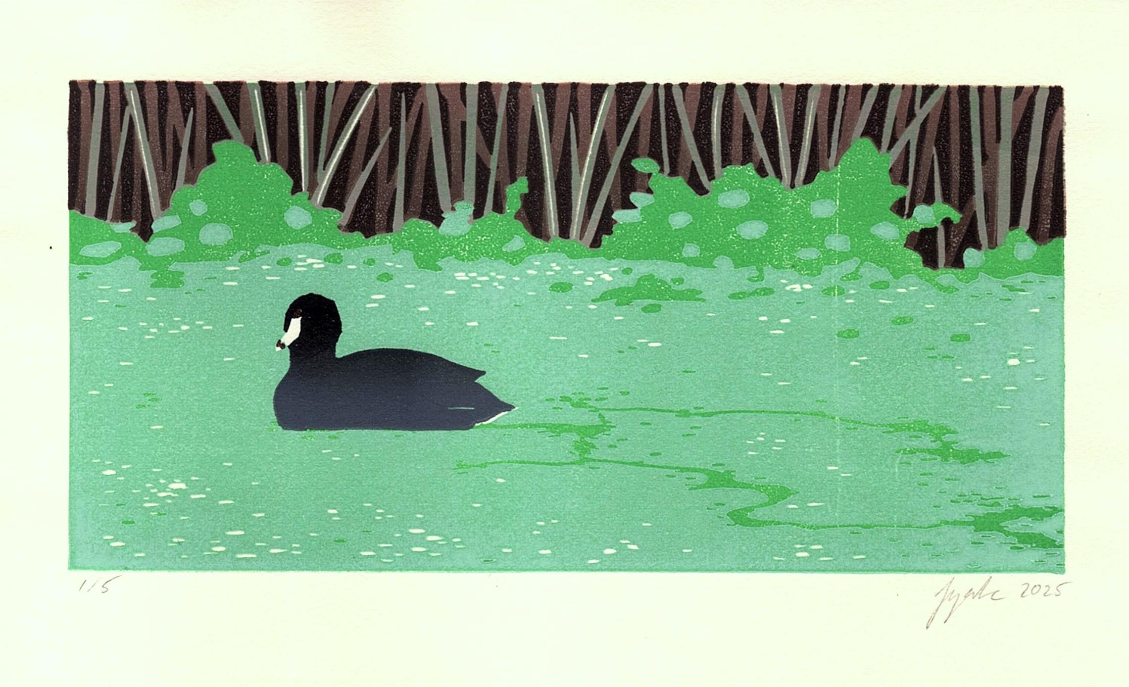 American Coot in Duckweed - Reduction Linocut Print