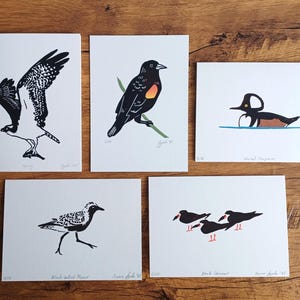 Linocut Art Cards - Handmade Bird Prints | Osprey, Merganser, Plover, Blackbird, and Skimmer!