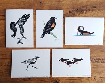 Linocut Art Cards - Handmade Bird Prints | Osprey, Merganser, Plover, Blackbird, and Skimmer!