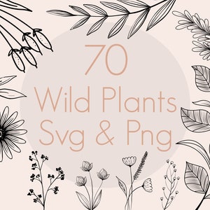 Paquete Svg de Plantas Silvestres / Paquete Svg Botánico / Paquete Svg de Hierbas / Paquete Svg Floral / Paquete Svg de Hojas / Uso Comercial Incluido
