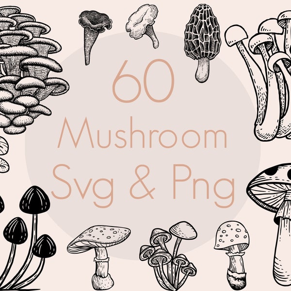 Mushroom Svg Bundle | Fungus Svg Bundle | Mushroom Clipart | Fungus Clipart | Trumpet Svg | Morel Svg | Bolete Svg | Commercial Use Included