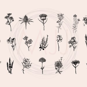 May include: A collection of 20 black and white line drawings of various flowers and plants. The drawings are simple and elegant, and they would be perfect for use in a variety of creative projects.
