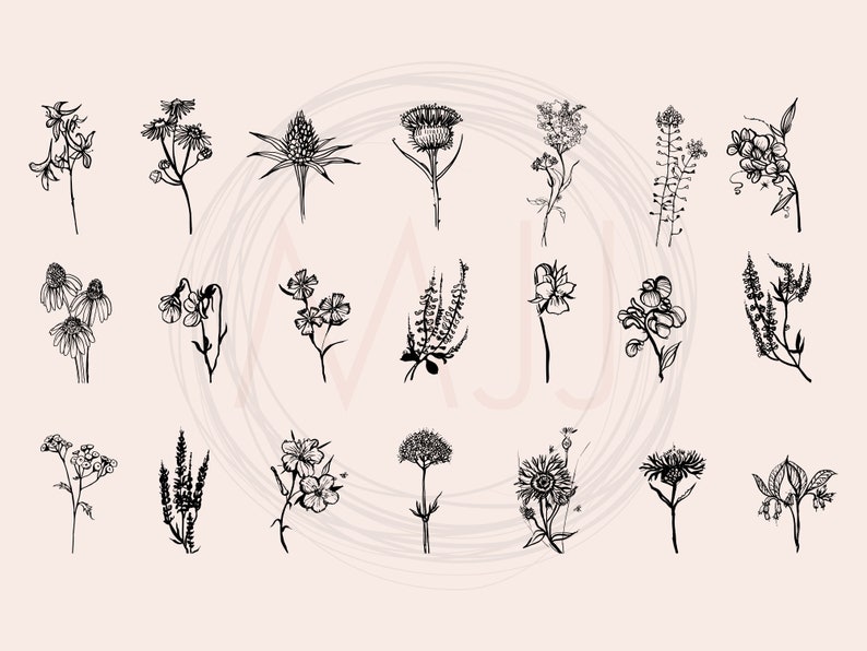 May include: A collection of 20 black and white line drawings of various flowers and plants. The drawings are simple and elegant, and they would be perfect for use in a variety of creative projects.
