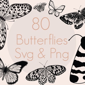 Butterfly Svg Bundle | Moth Svg Bundle | Butterfly Png | Moth Png | Butterfly Clipart | Moth Clipart | Commercial Use Included