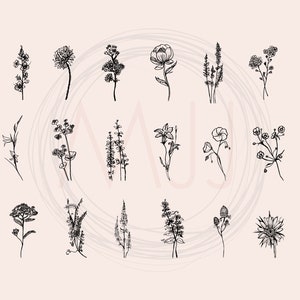 May include: A collection of 24 black and white line drawings of various flowers and plants. The drawings are simple and elegant, and would be perfect for use in a variety of creative projects.