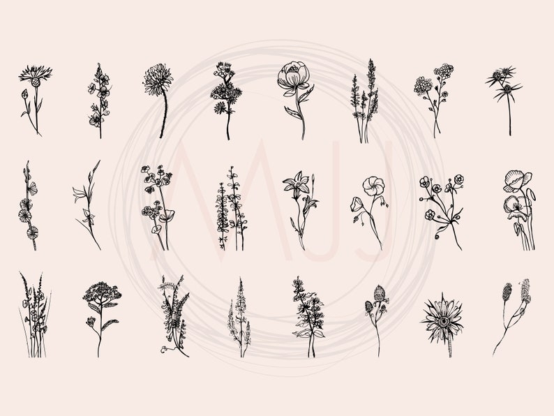 May include: A collection of 24 black and white line drawings of various flowers and plants. The drawings are simple and elegant, and would be perfect for use in a variety of creative projects.