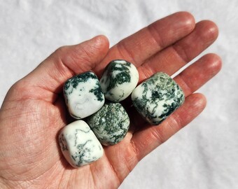 May include: A collection of five polished moss agate stones, each displaying a unique pattern of green inclusions against a creamy white background. The stones are smooth and rounded, held in an open hand against a soft, white backdrop. These stones are ideal for collectors or those interested in crystals.