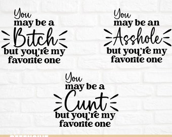 Sarcastic Valentines Day SVG Bundle – Offensive Couples Designs (Digital Download)