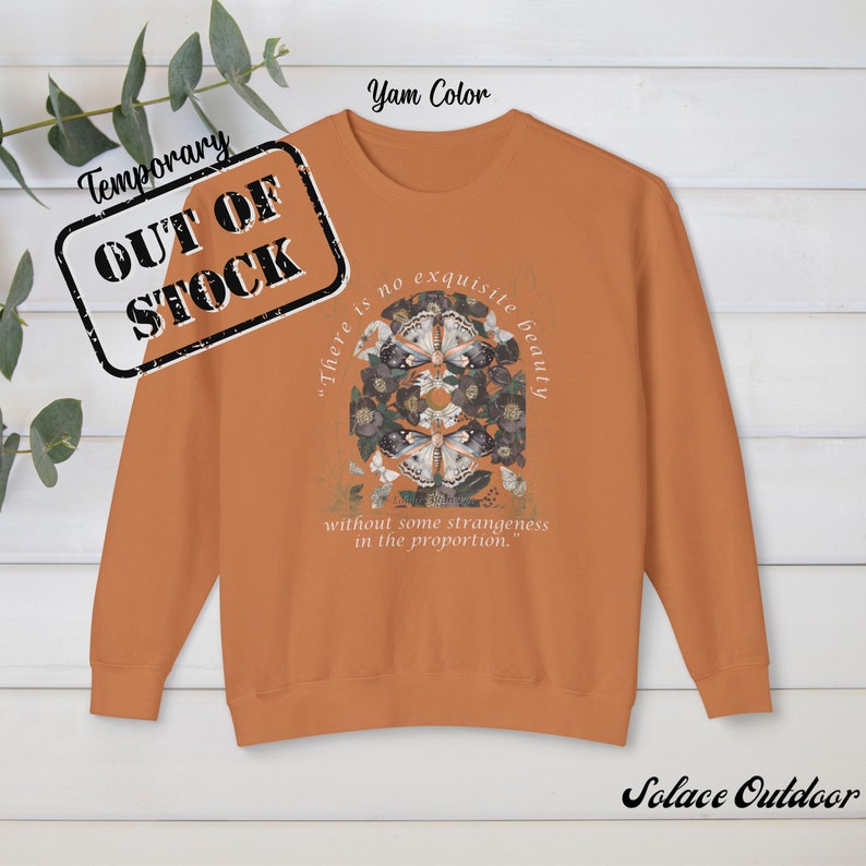 May include: A burnt orange sweatshirt with a graphic print of butterflies and flowers. The text "There is no exquisite beauty without some strangeness in the proportion." is printed on the sweatshirt.