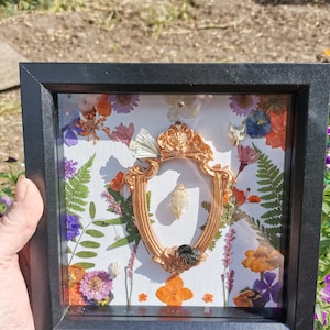 May include: A framed botanical art piece with a gold-coloured ornate frame. The frame contains dried flowers, ferns, and a small shell, set against a white background. The frame is encased in a black square frame.