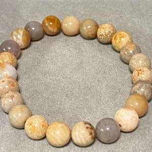 May include: A beige and brown fossilized coral beaded bracelet. The beads are round and have a natural, organic texture.