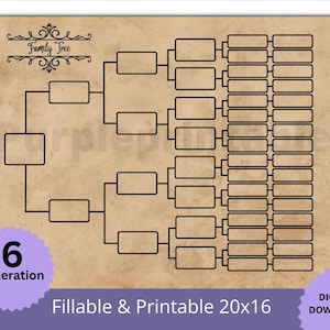 Pedigree Chart 6 Generation, 16x20