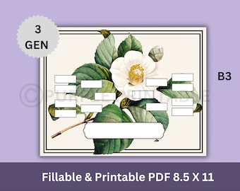gráfico de linhagem B3, gráfico ancestral, árvore genealógica para impressão, modelo de genealogia digital
