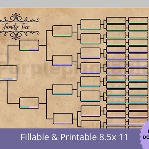 Pedigree Chart03 Color Coded  /6 Generation Family Tree Chart Pedigree Chart Genealogy Template. Ancestral Color Coded  Chart.