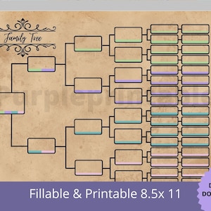 Pedigree Chart03 Color Coded  /6 Generation Family Tree Chart Pedigree Chart Genealogy Template. Ancestral Color Coded  Chart.