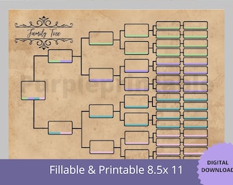 Ahnentafel03 Farbunterlegtes /6 Generations-Stammbaum-Diagramm Stammbaum-Diagramm Genealogie-Vorlage. Ahnen farbunterlegte Tabelle.