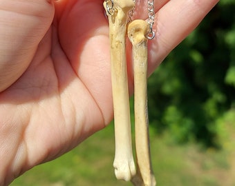 May include: A pair of unique earrings featuring real bone pendants. Each pendant is a small, off-white bone suspended from a silver-colored chain and earring hook. The earrings are held against a blurred green background.