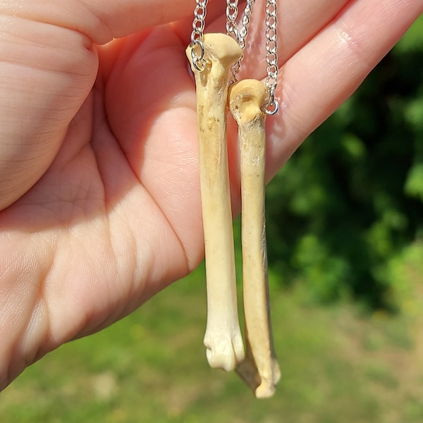 Bone earrings, handmade jewelry, bone jewelry, bones