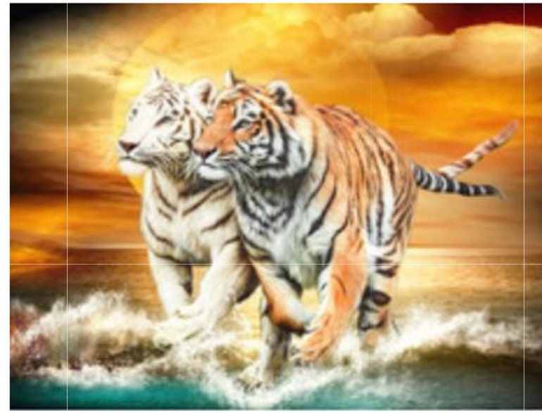 Peinture à diamants ( diamond painting) perles rondes 2 tigres
