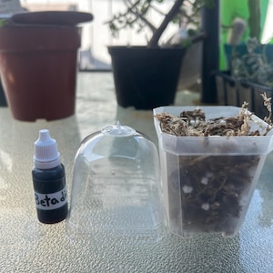 May include: A small dark brown bottle with a white cap labeled Betadi, a clear plastic dome-shaped cover, and a square translucent plastic pot filled with brown fibrous material and small white particles for plant propagation.