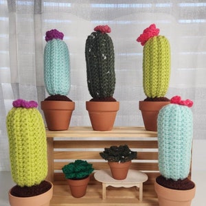 Crochet Cactus/Cactus Amigurumi/No Fuss Palnt/Succulent Decor