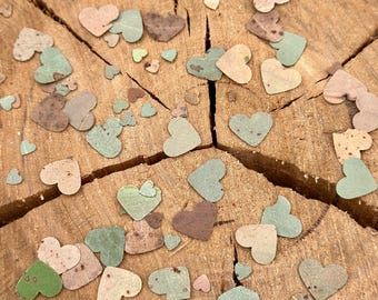 BUSH CONFETTI | Natural Eucalyptus Leaf Confetti | Heart Shaped Biodegradable Confetti | 100g bulk pack