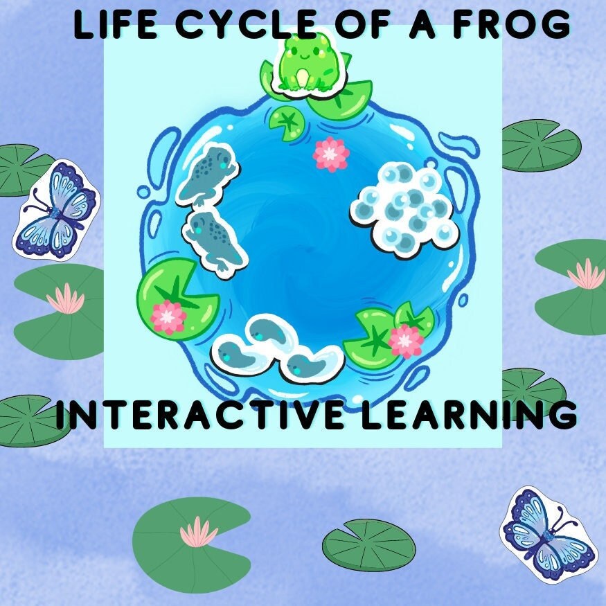 Frog Life Cycle Worksheet for Kids Homeschool Printable Montessori ...