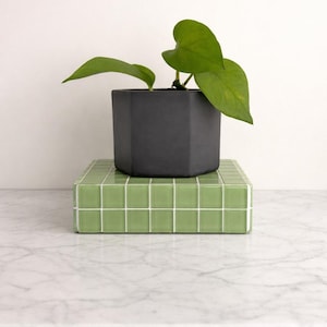 May include: A small houseplant in a dark gray, geometric planter. The planter sits atop a green tiled block with white grout. The plant has large, heart-shaped green leaves. The background is a plain white wall.