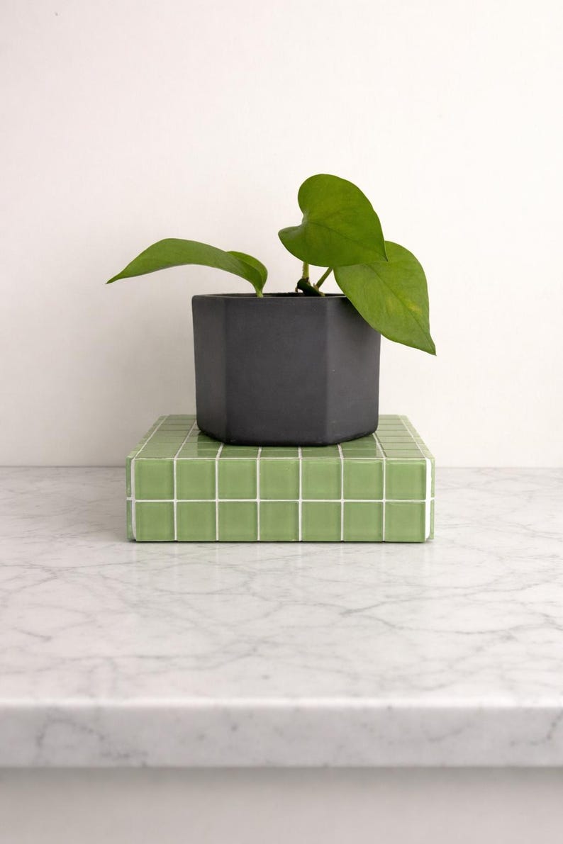 May include: A small houseplant in a dark gray, geometric planter. The planter sits atop a green tiled block with white grout. The plant has large, heart-shaped green leaves. The background is a plain white wall.