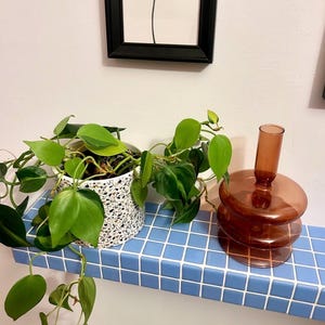 Estante flotante de pared con azulejos azules / Estante colorido / Estante moderno de pared / Decoración de dopamina / Estante para plantas / Estante decorativo para la entrada del baño imagen 7