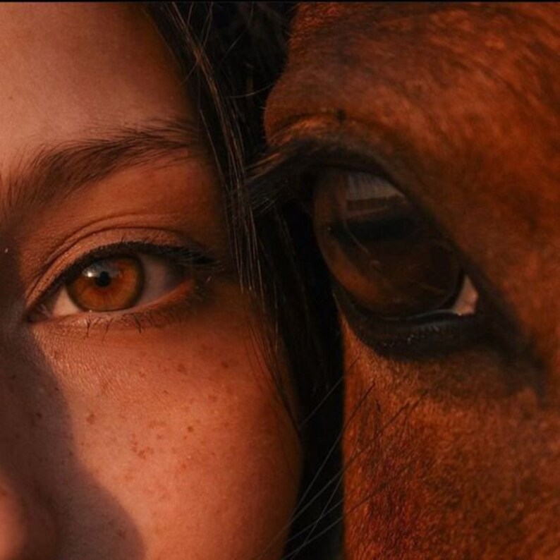 May include: Close-up of a human eye with brown iris and a horse's eye with a dark brown iris. Both eyes are looking directly at the viewer.