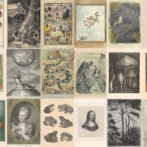 May include: A collage of 16 vintage illustrations featuring various subjects, including mushrooms, a forest, a snake, a dragon, a frog, a cat, a goldfish, a portrait, a tree, and a violin. The illustrations are in black and white and sepia tones.