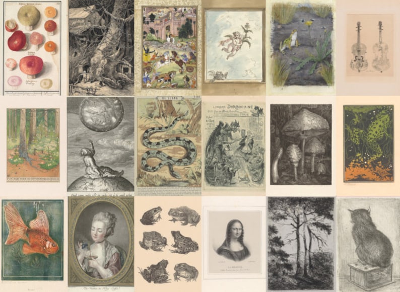 May include: A collage of 16 vintage illustrations featuring various subjects, including mushrooms, a forest, a snake, a dragon, a frog, a cat, a goldfish, a portrait, a tree, and a violin. The illustrations are in black and white and sepia tones.