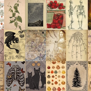 May include: A collage of vintage illustrations and images, including a dragon, a skeleton, a map of Hogwarts, a botanical illustration, a vintage bicycle, a human anatomy diagram, and a fairy with wings.