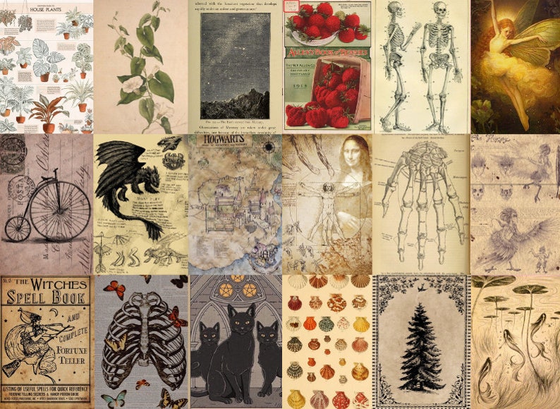 May include: A collage of vintage illustrations and images, including a dragon, a skeleton, a map of Hogwarts, a botanical illustration, a vintage bicycle, a human anatomy diagram, and a fairy with wings.