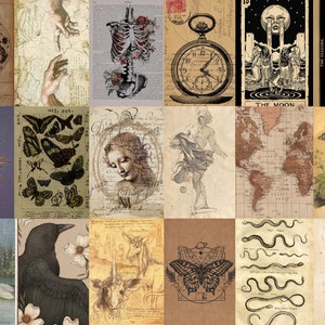 May include: A collage of vintage illustrations and drawings featuring various themes, including celestial bodies, insects, anatomy, and mythology. The images are in shades of brown, beige, and black, with a vintage aesthetic.