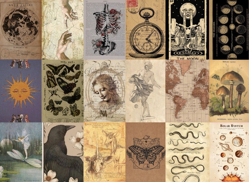 May include: A collage of vintage illustrations and drawings featuring various themes, including celestial bodies, insects, anatomy, and mythology. The images are in shades of brown, beige, and black, with a vintage aesthetic.