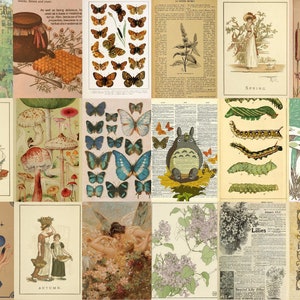 May include: A collage of vintage illustrations featuring various themes, including nature, insects, animals, and seasons. The images are in a whimsical style with a focus on detail and intricate patterns. The collage includes images of butterflies, mushrooms, caterpillars, a Totoro character, a frog, and a woman in a garden.