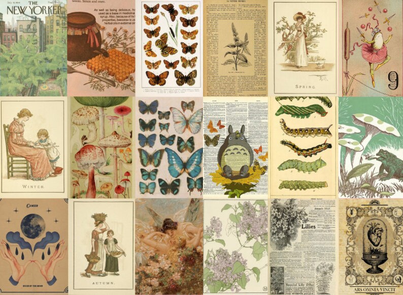May include: A collage of vintage illustrations featuring various themes, including nature, insects, animals, and seasons. The images are in a whimsical style with a focus on detail and intricate patterns. The collage includes images of butterflies, mushrooms, caterpillars, a Totoro character, a frog, and a woman in a garden.