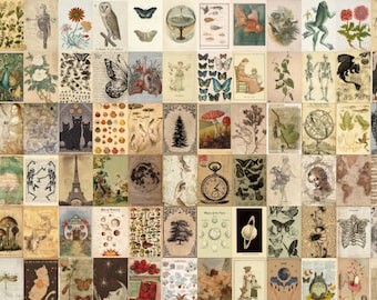 250 PCS | vintage poster wall collage kit | vintage posters | wall collage kit | cottagecore wall decor | cottagecore posters | room decor
