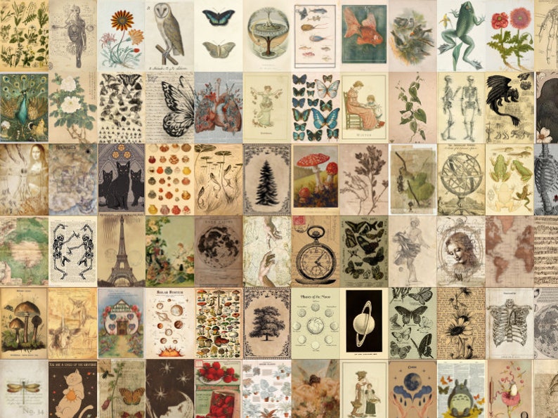 May include: A collage of vintage illustrations and images featuring various themes, including nature, animals, insects, and celestial bodies. The images are arranged in a grid pattern and have a faded, antique aesthetic.