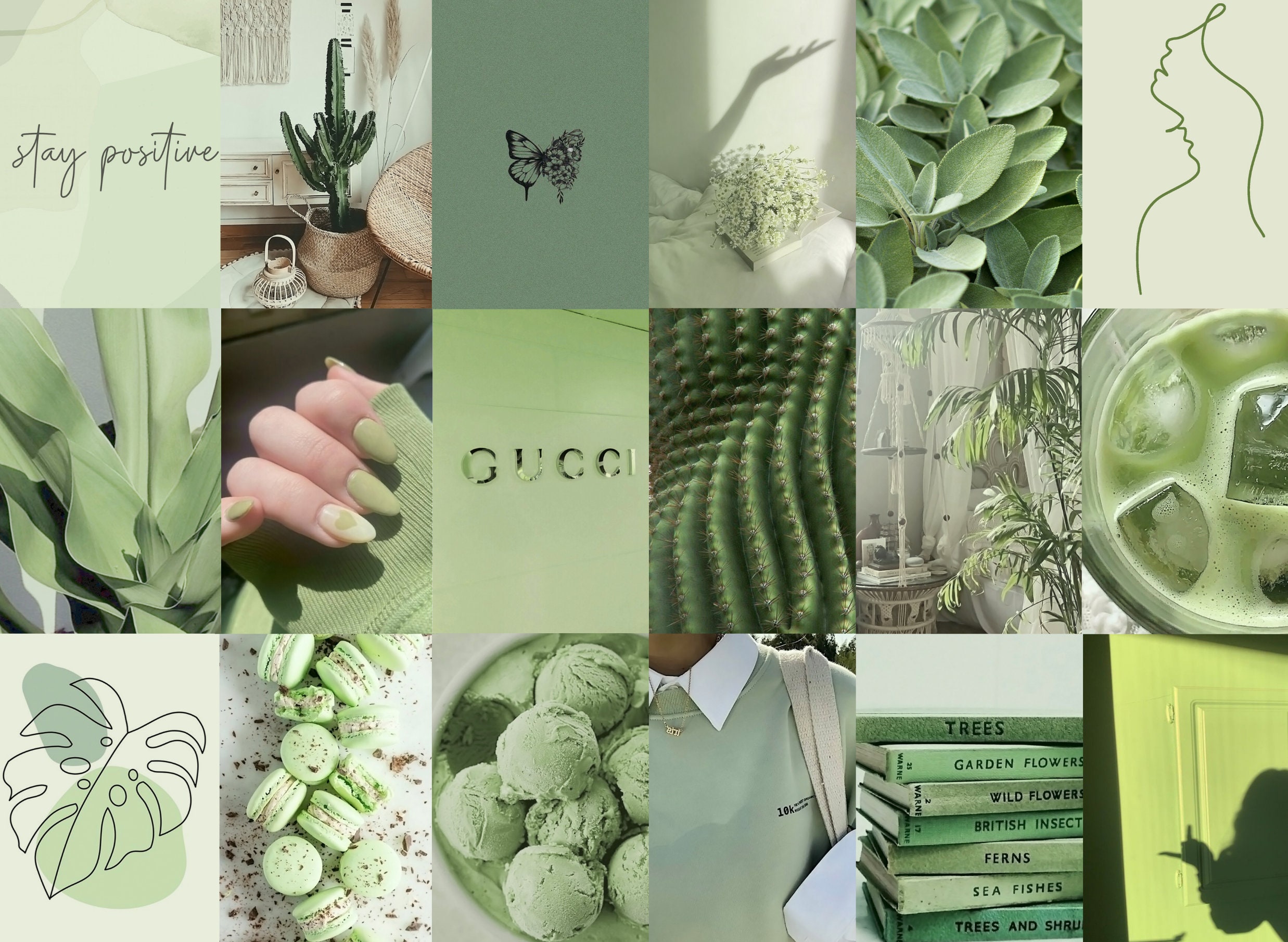 Elaaj Sage Green Aesthetic Wall Collage Kit