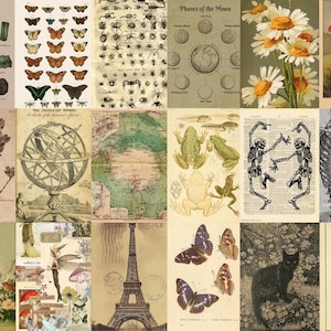 May include: A collage of vintage illustrations featuring butterflies, insects, flowers, a globe, a map, frogs, skeletons, a cat, and a mushroom. The images are in shades of brown, green, and white.