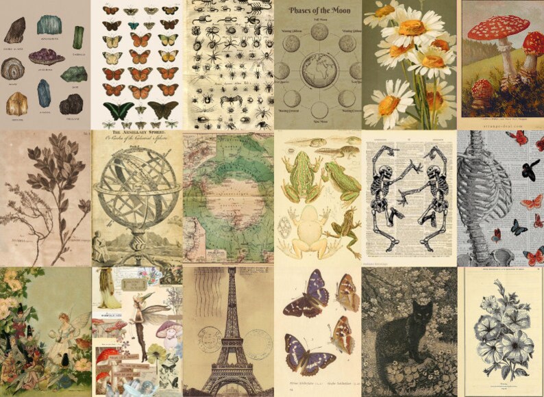 May include: A collage of vintage illustrations featuring butterflies, insects, flowers, a globe, a map, frogs, skeletons, a cat, and a mushroom. The images are in shades of brown, green, and white.