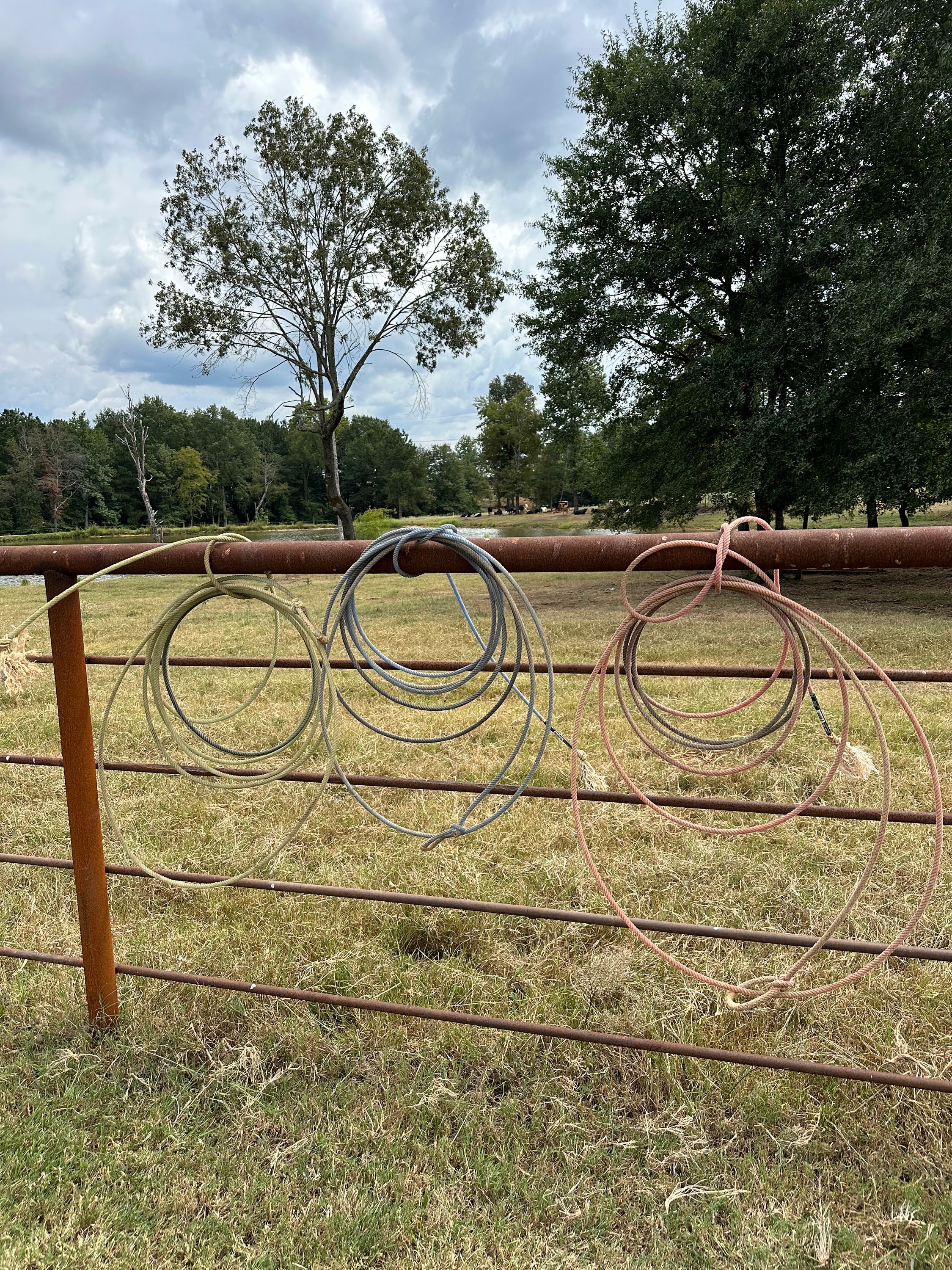 Real Cowboy Lariat Rope-Used