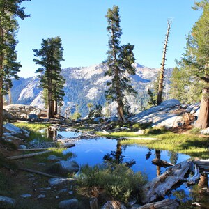 Sequoia National Park Alta